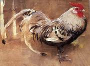 unknow artist Cock 056 oil painting picture wholesale